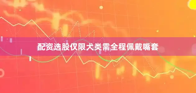 配资选股仅限犬类需全程佩戴嘴套